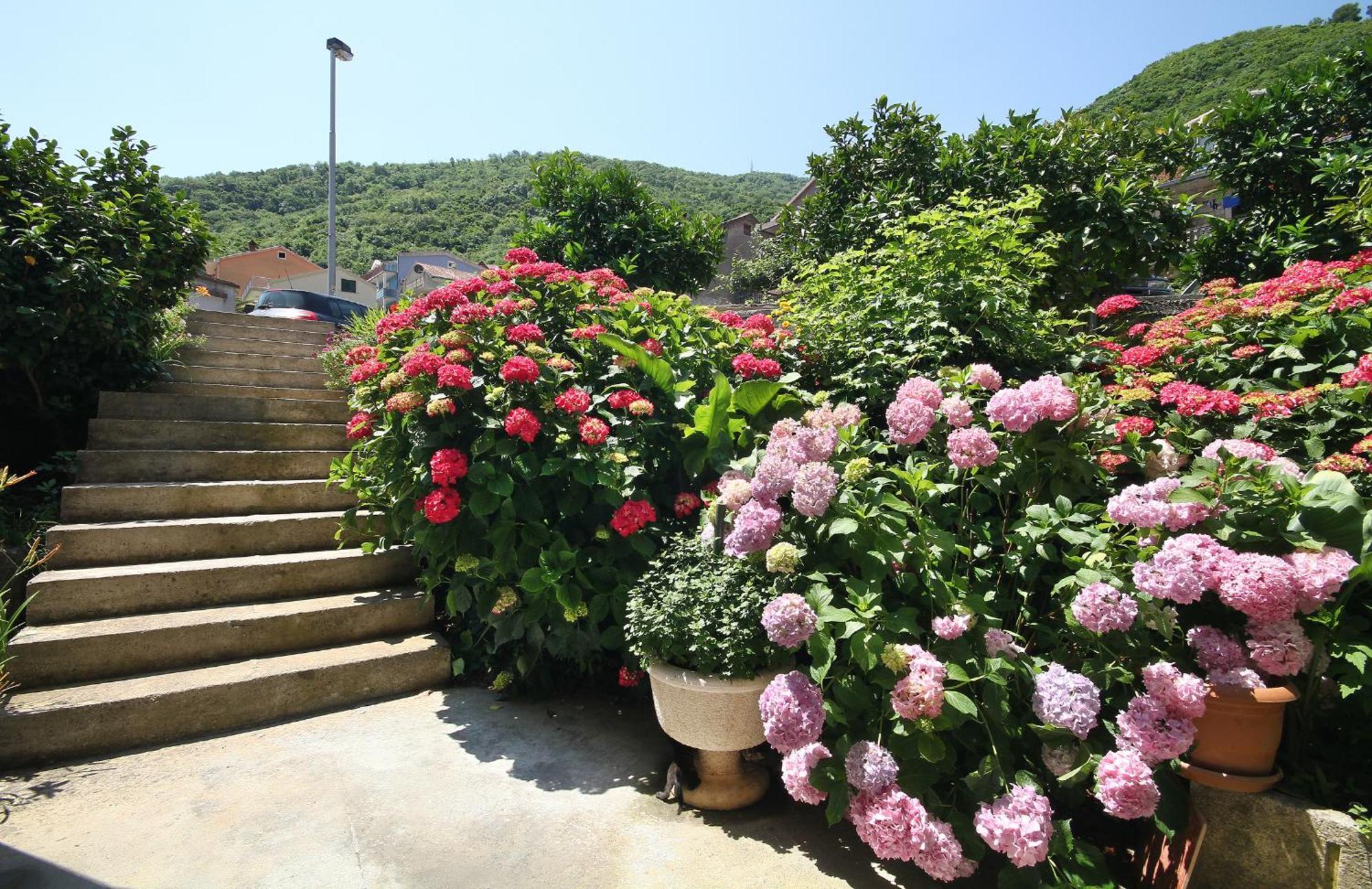 Apartments Raicevic Budva Exteriér fotografie